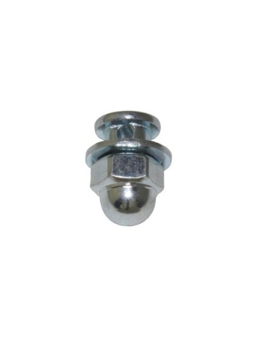 Brake Anchor Bolt/Nut 6mm Chrome.